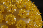 Gold 150 Light Starlight Sphere 10"