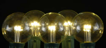 Warm White LED G50 Globe Bulbs - 25pk