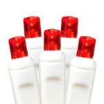 20 LED Battery Operated Lights Red White Wire