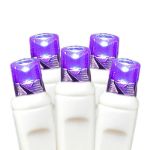 50 LED Battery Operated Lights Purple on White Wire