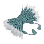 Warm White 100 LED C6 Strawberry Mini Lights Commercial Grade Green Wire