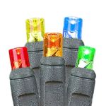 50 LED Multi LED Christmas Lights 11' Long on Black Wire