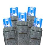 50 LED Blue LED Christmas Lights 11' Long on Black Wire