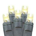 50 LED Warm White LED Christmas Lights 11' Long on Black Wire