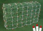 Red LED Net Lights, White Wire 4x6