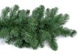 9' Deluxe Colorado Pine Garland