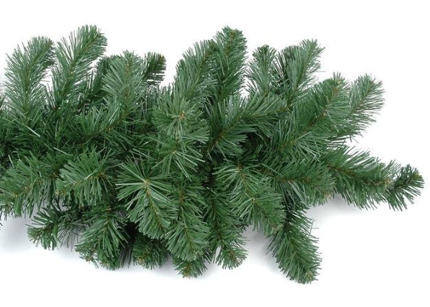 9' Deluxe Colorado Pine Garland
