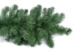 30' Unlit Deluxe Colorado Pine Garland