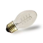 PS58 Vintage Edison Bulb - E26 - 60 Watt -1 Pack**ON SALE**