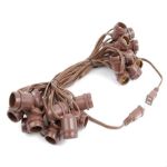 25 Clear S14 Commercial Grade Light String Set on 37.5' of Brown Wire 