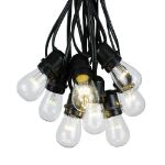 25 LED S14 Warm White Commercial Grade Light String Set on 37.5' of Black Wire 