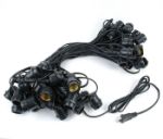 50 Clear S14 Commercial Grade Light String Set on 100' of Black Wire 