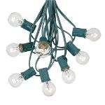 100 G30 Globe String Light Set with Clear Bulbs on Green Wire