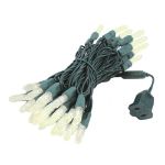 50 LED M8 Light Set - Warm White