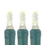 50 LED M8 Light Set - Warm White
