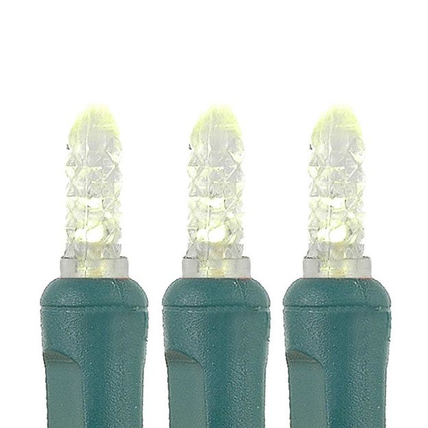 50 LED M8 Light Set - Warm White