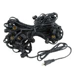 80 Warm White LED G50 Commercial Grade Intermediate Base Light Set