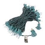 Clear Christmas Mini Lights 100 Light 50 Feet Long on Green Wire