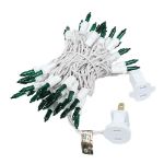 Green 50 Light 11' Long White Wire Christmas Mini Lights