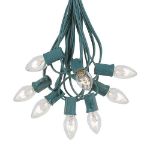 C7 25 Light String Set with Clear Twinkle Bulbs on Green Wire