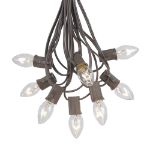 C7 25 Light String Set with Clear Twinkle Bulbs on Brown Wire