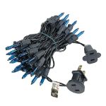 Teal Christmas Mini Lights 50 Light on Black Wire 11 Feet Long
