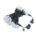 Pure White 70 LED C6 Strawberry Mini Lights Commercial Grade Black Wire