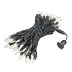 70 Light Traditional T5 Warm White LED Mini Lights Black Wire