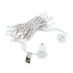 20 Light Warm White LED Mini Lights White Wire