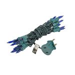 Non Connectable Blue Green Wire Mini Lights 20 Light 8.5'