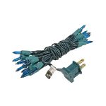 Non Connectable Teal Lights Green Wire Mini Lights 20 Light 8.5'