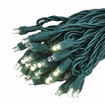 Twinkle LED Christmas Lights 50 LED Warm White 25' Long Green Wire