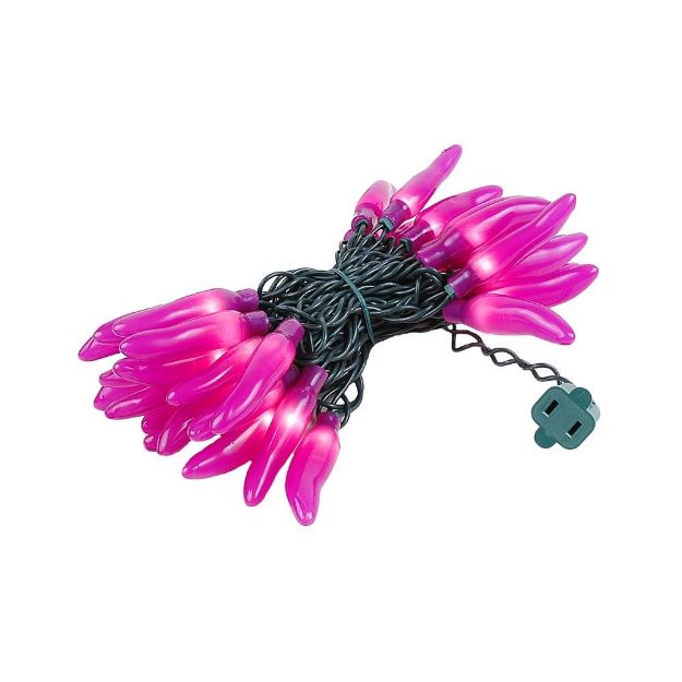 Purple Chili Pepper String lights 35 Count 