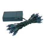 20 LED Battery Operated Lights Blue Green Wire 