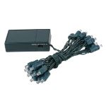 20 LED Battery Operated Lights Warm White Green Wire