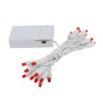 20 LED Battery Operated Lights Red White Wire