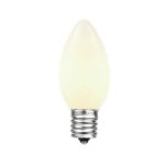C9 25 Light String Set with Ceramic White Bulbs on Black Wire