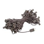100 G30 Globe String Light Set with Clear Bulbs on Brown Wire