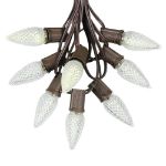 25 Light String Set with Warm White LED C9 Bulbs on Brown Wire
