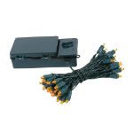 50 LED Battery Operated Lights Amber on Green Wire
