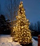 Warm White C7 LED Replacement Bulbs 25 Pack