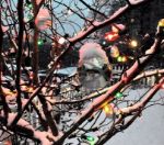 Assorted Transparent C9 7 Watt Replacement Bulbs 25 Pack