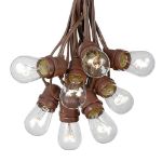 25 Clear S14 Commercial Grade Light String Set on 37.5' of Brown Wire 