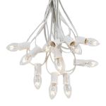 C7 25 Light String Set with Clear Twinkle Bulbs on White Wire