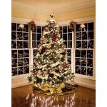 Clear Christmas Mini Lights 100 Light 50 Feet Long on Green Wire
