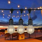 A19 Vintage Edison Bulb - E26 - 60 Watt -1 Pack** ON SALE**