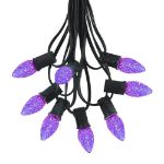 25 Light String Set with Purple LED C7 Bulbs on Black Wire