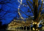 Commercial Grade Wide Angle 100 LED Warm White 50' Long on White Wire