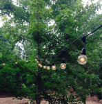 330' Suspended Black Commercial Grade Stringer 264 Intermediate (e17) Base Sockets
