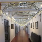 Commercial Grade Wide Angle 50 LED Warm White 25' Long on Black Wire